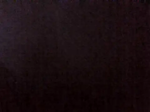 sugarnova254 现场聊天室