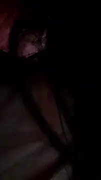 rposhta1991のライブチャットルーム