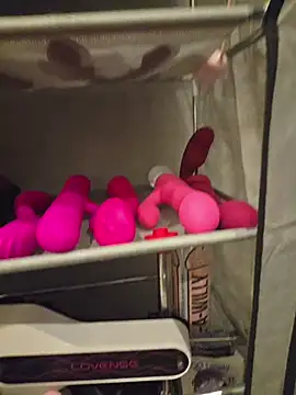 PinkTheHawk Live chatroom