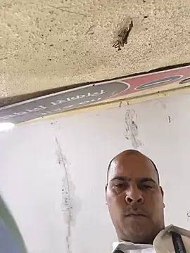 Vickyrajput009 чат на живо