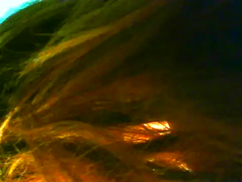 Jcharlesnew69@xh Live Chatraum