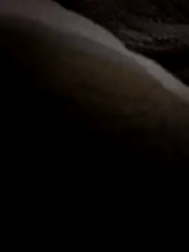 חדר צ'אט בשידור חי של Istanbulciftt