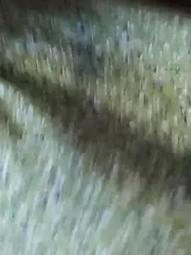 Sala de chat ao vivo de Xelenaxcbbs