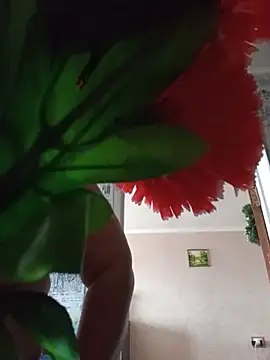 חדר צ'אט בשידור חי של Amy_August
