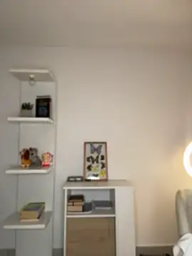 Veronica_ar 실시간 채팅방