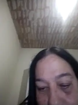 catdool Live chatroom