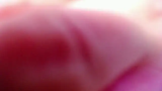 Chat ao vivo de MonaLisaG