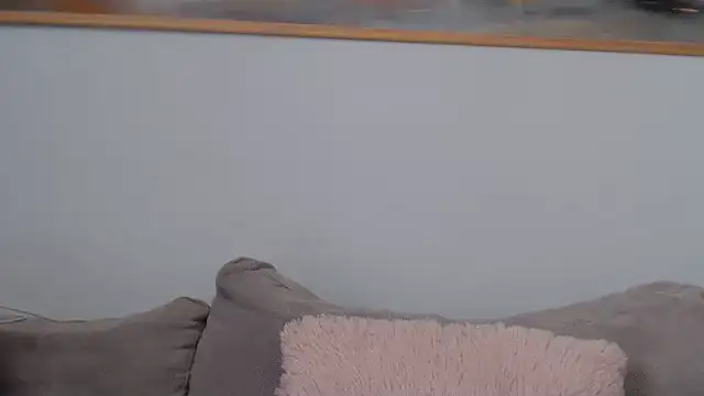 cleophee 실시간 채팅방