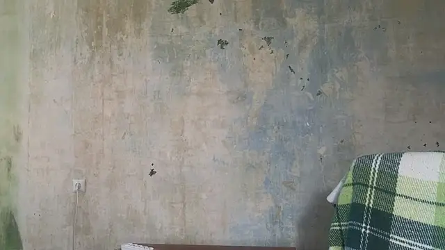 Brenda__Star's Live Chat Room