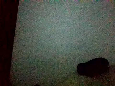 Chat soba uživo modela mellow_smoke