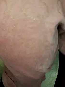 BootyCallEver 실시간 채팅방
