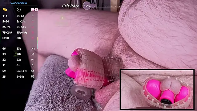 controlmytoys Show in webcam