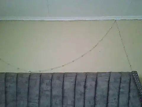 Chat ao vivo de Dizzydose