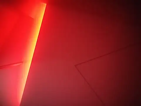 PapasFrys Cameră chat live