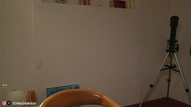 חדר צ'אט בשידור חי של Theirismuse