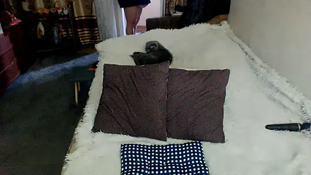 sex2 Live Chatraum