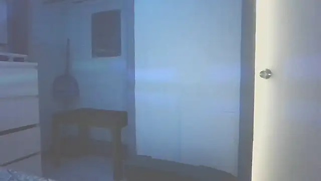חדר צ'אט בשידור חי של Yankeedave420