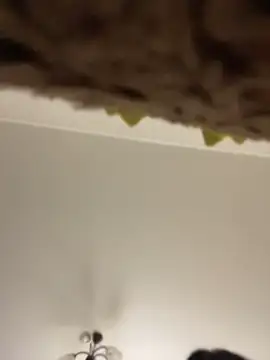 חדר צ'אט בשידור חי של Poly_Nick