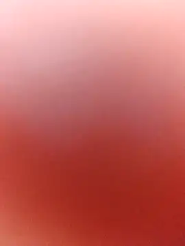 evelyn__salah 실시간 채팅방
