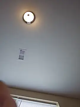 חדר צ'אט בשידור חי של AmethystFoxx
