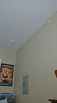 AmethystFoxx's Live Chat Room