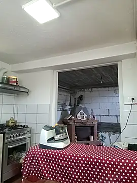 AnyBase Cameră chat live