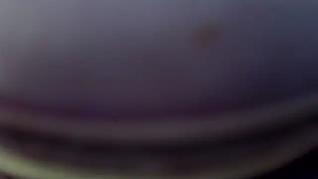 leysun7 Live Chatraum