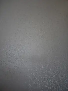 Eva_SweetCatt's Live Chat Room