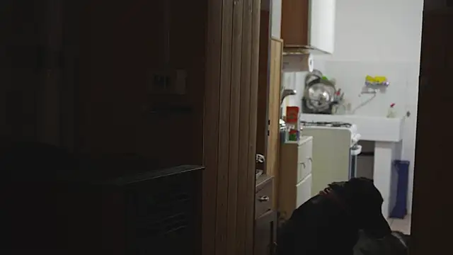 VanessaDoyle 실시간 채팅방