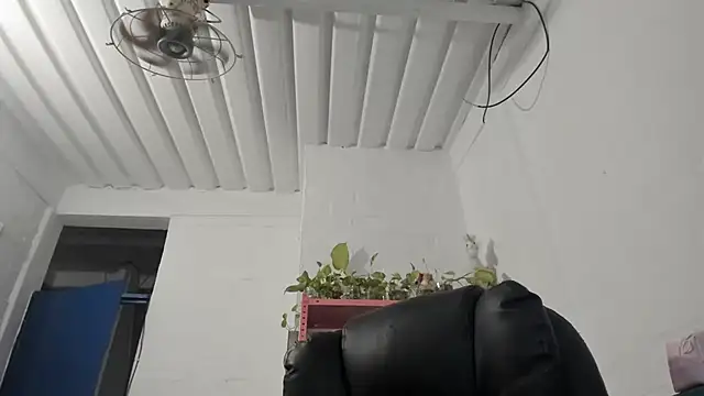Chat ao vivo de mariecam420