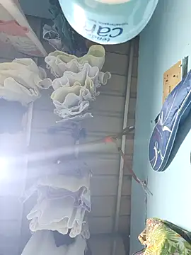 Živá chatovací místnost naughtiestmumknky99