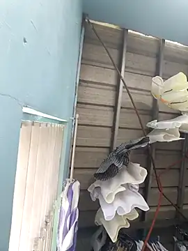 naughtiestmumknky99 লাইভ চ্যাট রুম