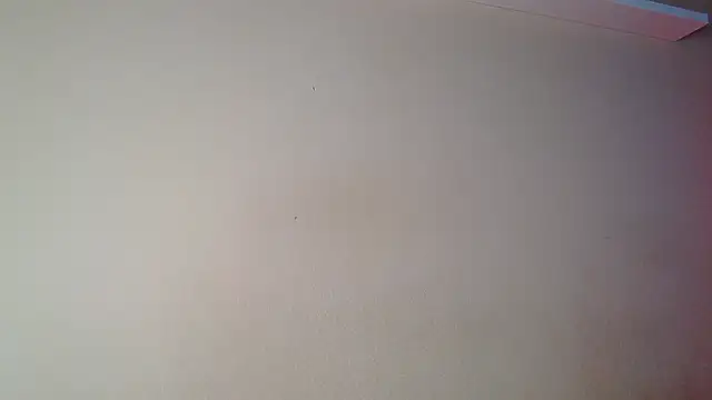 Živá chatovací místnost Just_alice