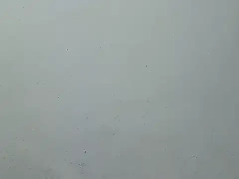 Pinnay 실시간 채팅방