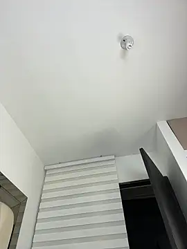 ALISSON_FOXXX1 실시간 채팅방