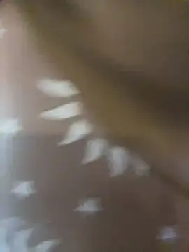 chanel00123 Live Chatraum