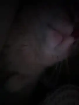 Cutiepiespanksn Live chat-huone
