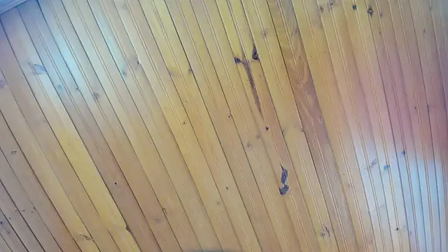 AyameFoxy – live chatrum
