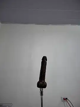 Živá chatovací místnost serena_willow