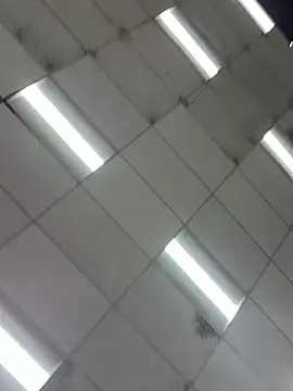 Bilik Sembang Langsung LeBimbo