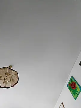 غرفة دردشة Toyjungee المباشرة