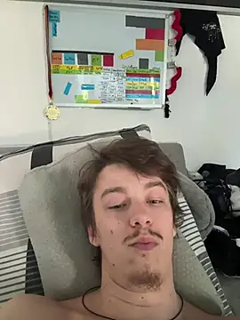 Toyjungee Live Chatraum