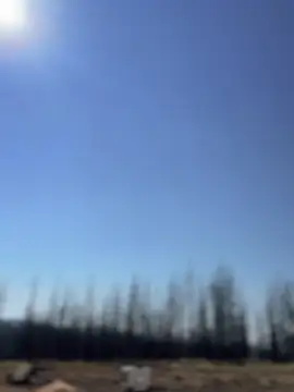 GoldenFlameGoddess Live Chatraum