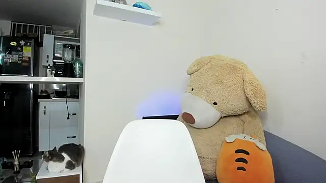 taylorlivee Cameră chat live