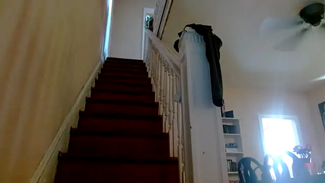 corilynx Live Chatraum
