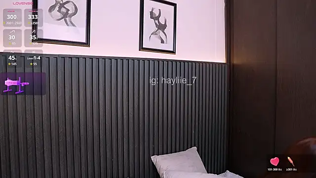ห้องแชทสดของ haylie_