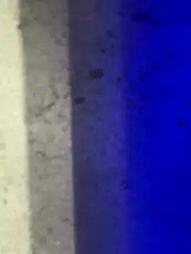 Živá chatovací místnost LilMissKaos