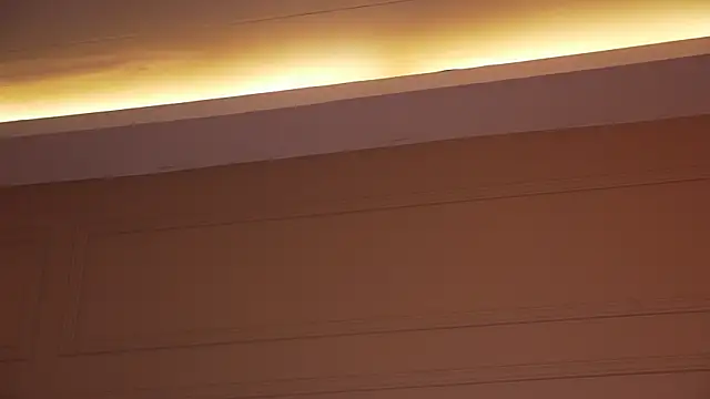 Ashley_Jones9 现场聊天室