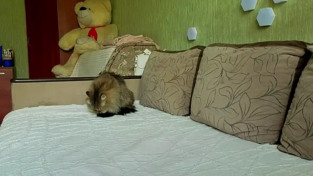 Živá chatovací místnost Arina_Bloom