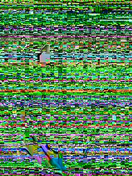 Lucky_Flora Cameră chat live